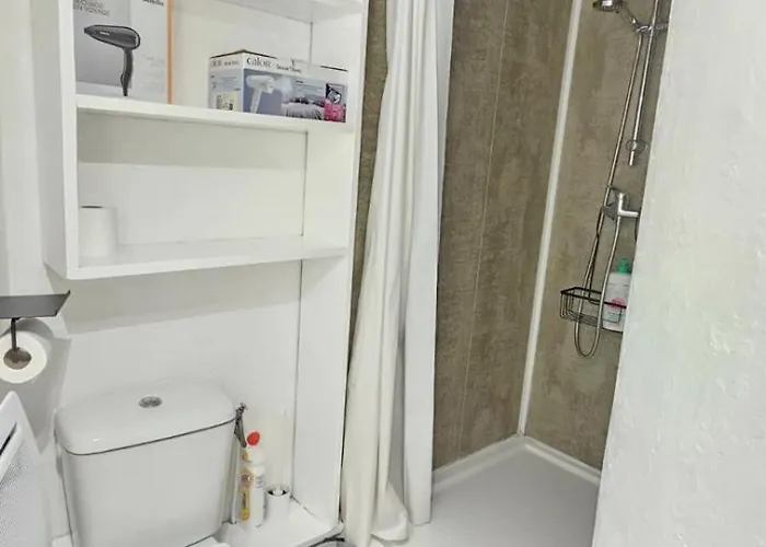 Apartman L'histoire Clermontoise - Tramway Au Pied Du *