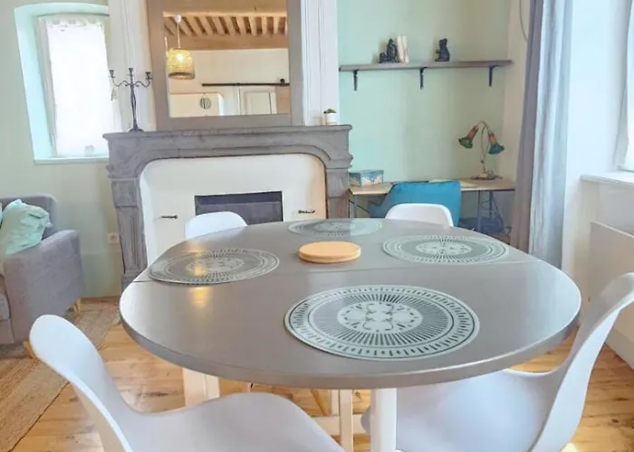 Apartman L'histoire Clermontoise - Tramway Au Pied Du Clermont-Ferrand